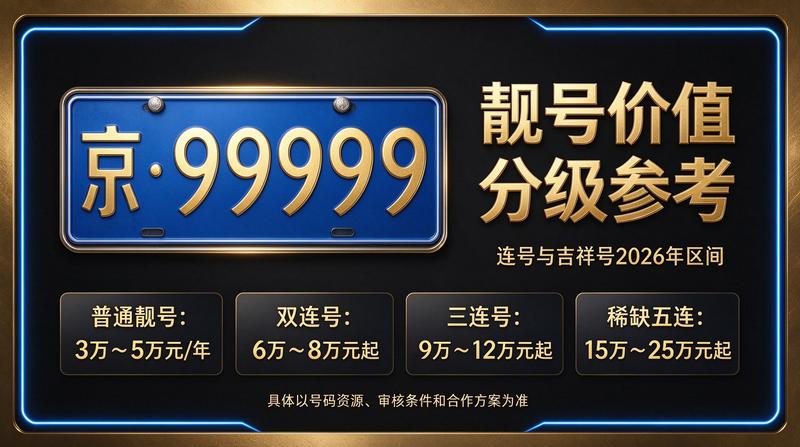 2026年新能源车租赁指标展示